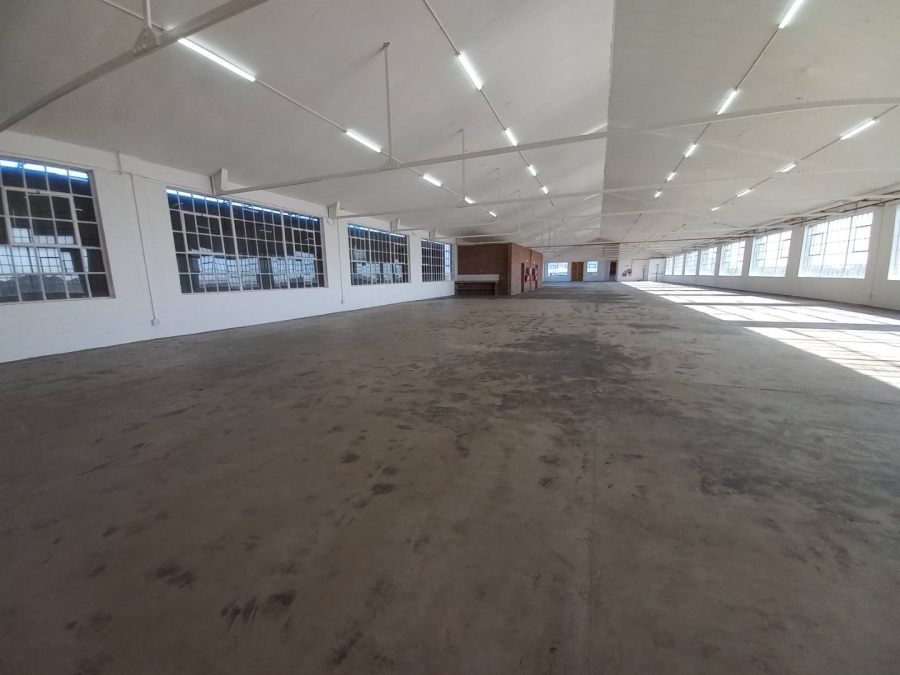 To Let commercial Property for Rent in Diep River Western Cape